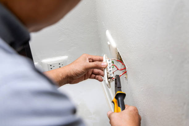 Best Home Electrical Repair  in Locust Grove, GA